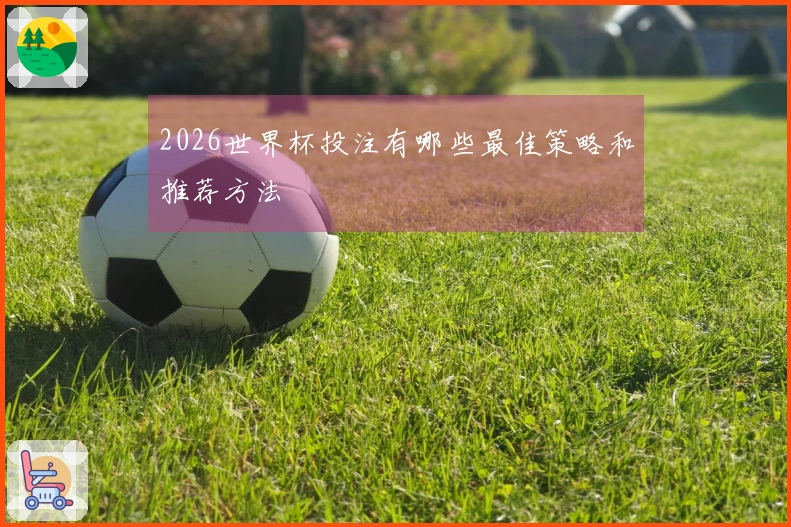 2026世界杯投注有哪些最佳策略和推荐方法