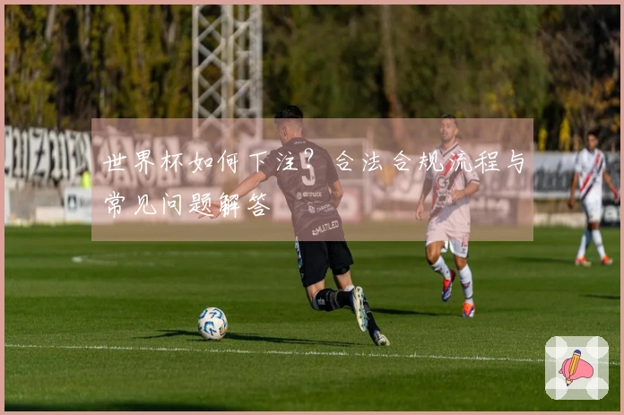 世界杯如何下注？合法合规流程与常见问题解答