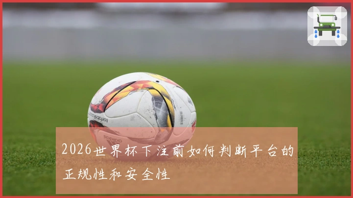 2026世界杯下注前如何判断平台的正规性和安全性