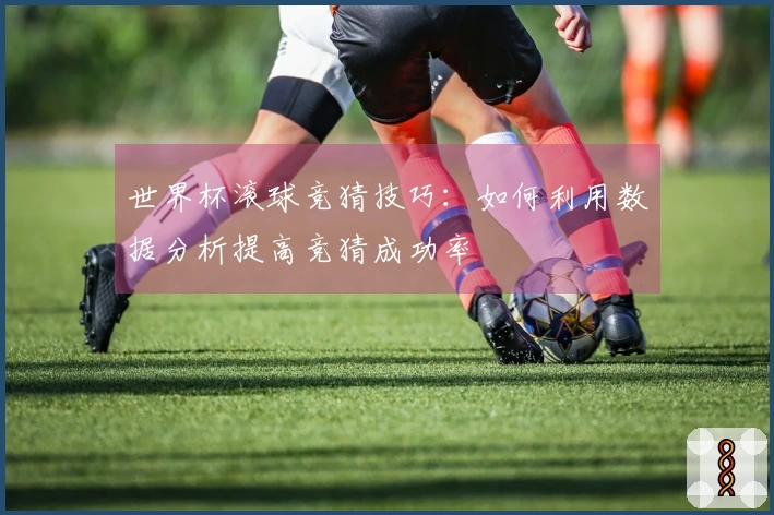 世界杯滚球竞猜技巧：如何利用数据分析提高竞猜成功率