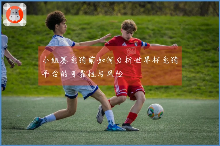小组赛竞猜前如何分析世界杯竞猜平台的可靠性与风险