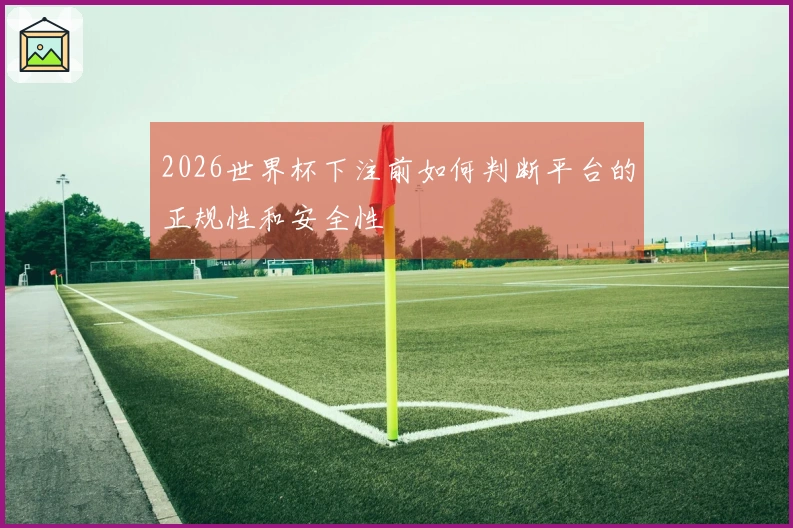 2026世界杯下注前如何判断平台的正规性和安全性
