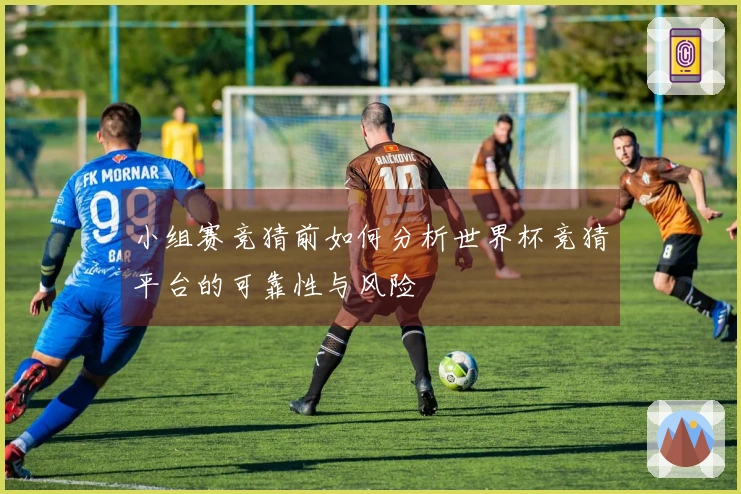 小组赛竞猜前如何分析世界杯竞猜平台的可靠性与风险